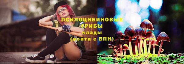 стафф Абинск