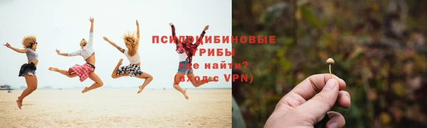 стафф Абинск
