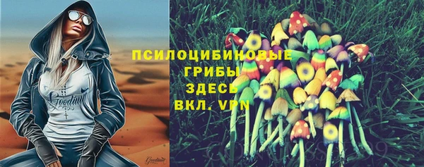 стафф Абинск