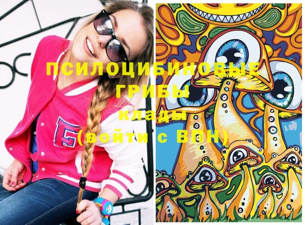 молекула духа Алексин