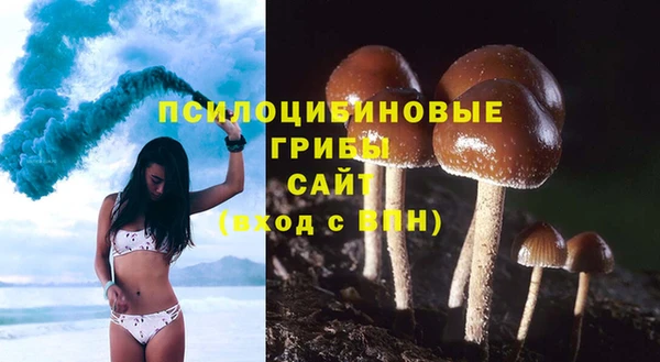 соль ск Алексеевка
