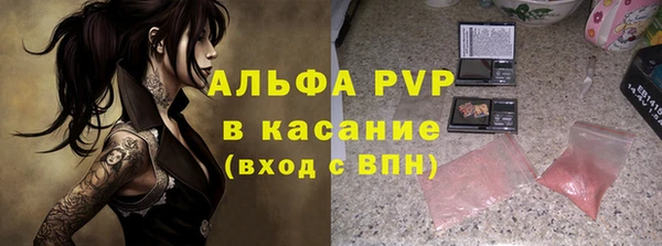 стафф Абинск