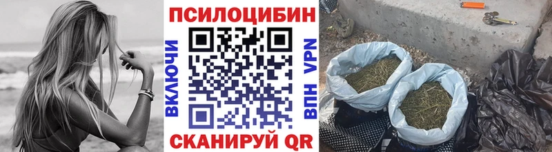 Галлюциногенные грибы прущие грибы Курчатов